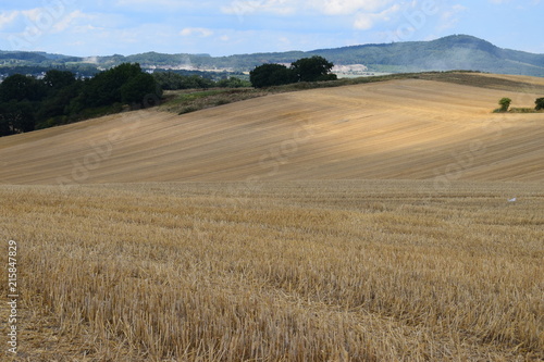 Stoppelfelder auf sanften Hügeln der Eifel, Thür photo