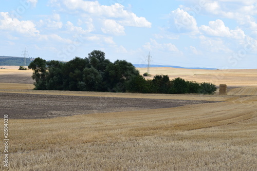 Stoppelfelder auf sanften Hügeln der Eifel, Thür photo