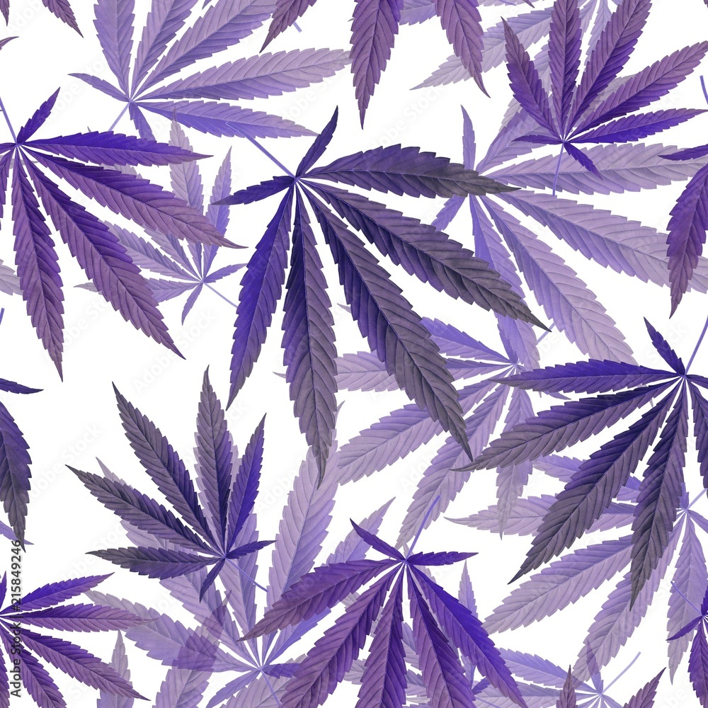 purple leaves on white Background. Seamless pattern with Marijuana, weed,  dope. Textile, Wallpaper concept Stock Illustration | Adobe Stock