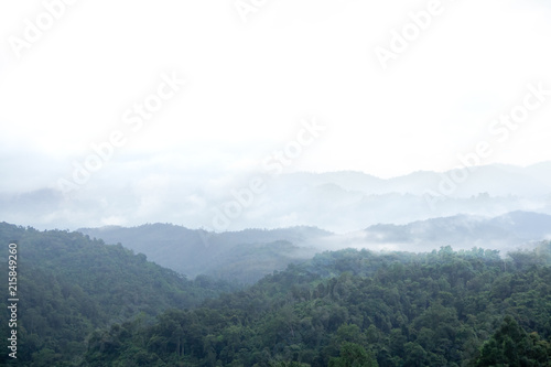 Landscape mountain view Fog and Clouds are rolling through after the rain in the Mountains National Park in North of thailand. Natural rain forest  Fog step between mountain.