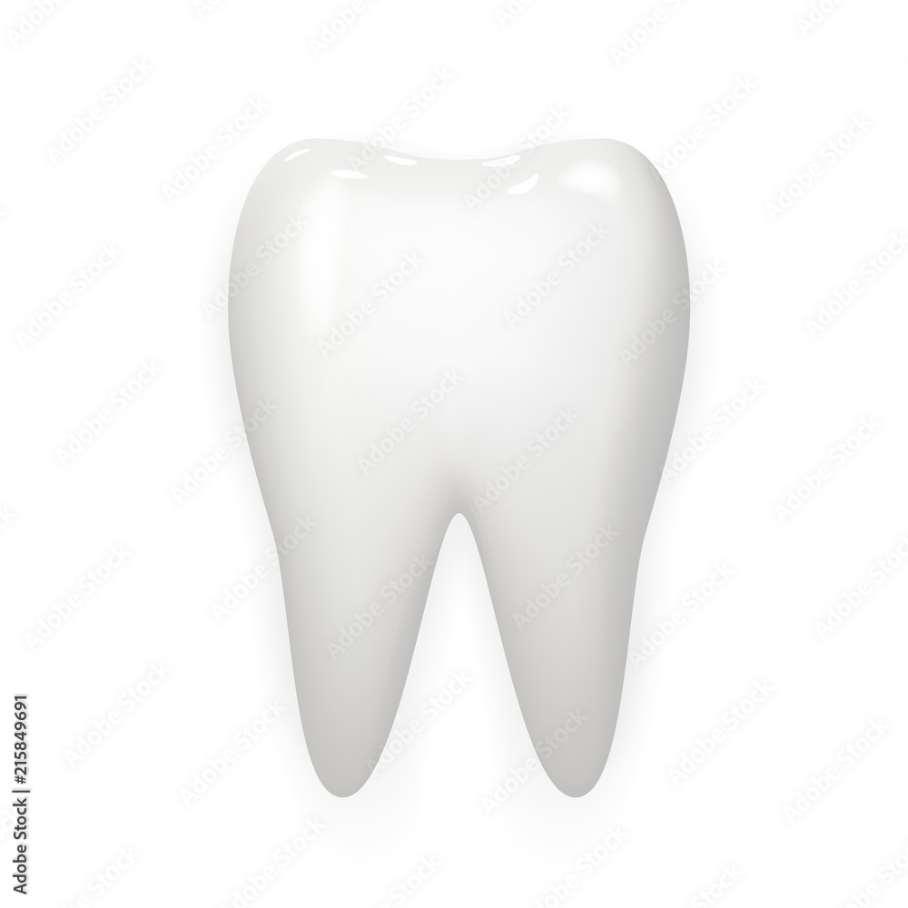 Stomatology realistic 3d white tooth isolated mock up design vector illustration Stomatology realistic 3d white tooth isolated mock up design vector illustration