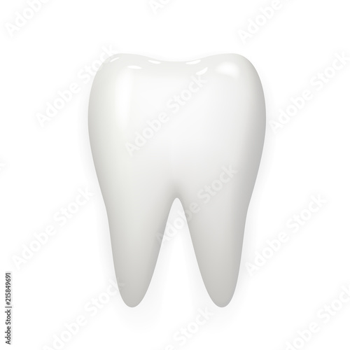 Stomatology realistic 3d white tooth isolated mock up design vector illustration
