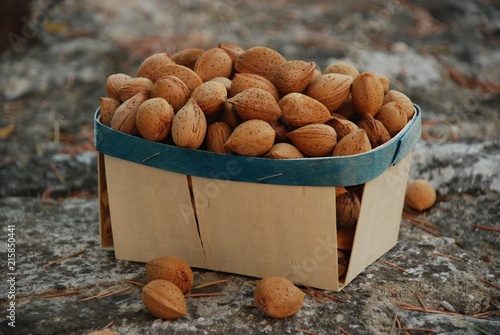 récoltes d'amandes