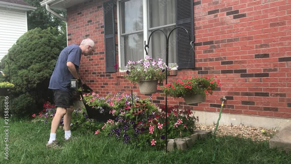 senior man trimming weeds around flower bed on a beautiful summer day in the midwest senior man trimming weeds around flower bed on a beautiful summer day in the midwest