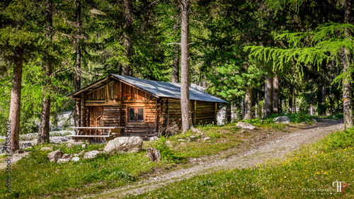 Cabane en bois au milieu des bois dans le Val d'Escreins, Hautes Alpes, France - Wooden hut in the middle of the woods in Val d'Escreins, High Alps
