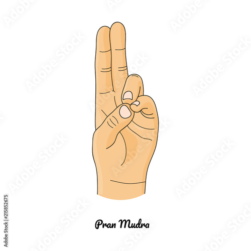 Pran Mudra / Gesture of Life. Vector.