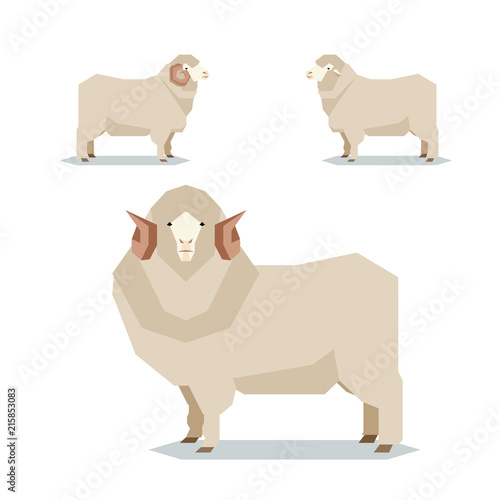 Flat geometric Merino sheep