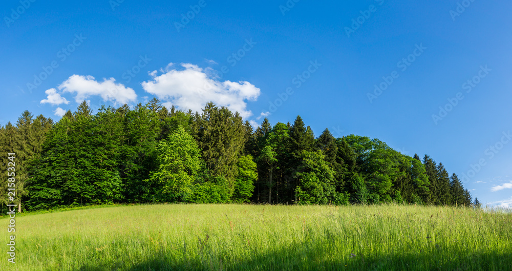 Germany, XXL landscape panorama of black forest nature Germany, XXL landscape panorama of black forest nature