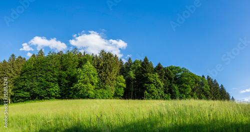 Germany, XXL landscape panorama of black forest nature