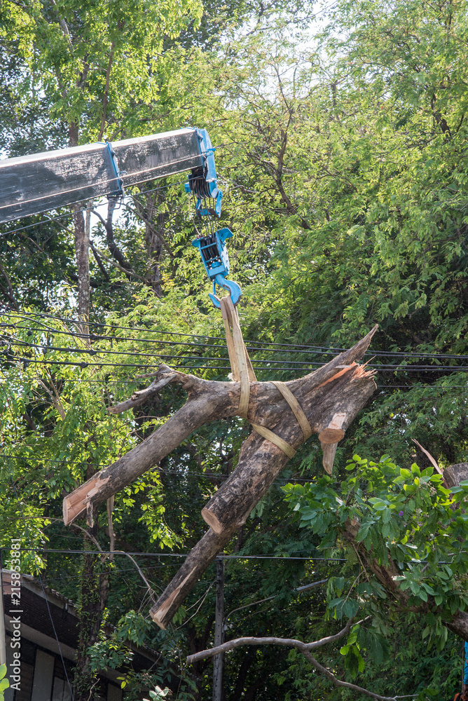Crane lifting Broken tree
