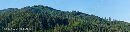 Germany, XXL wide nature landscape of black forest on sunny day