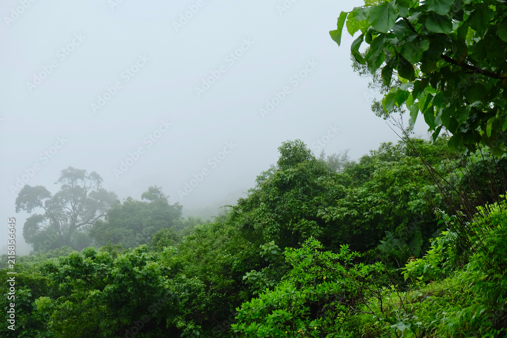 lush green landscape of mountain and hills in monsoon season, Purandar, Maharashtra, India lush green landscape of mountain and hills in monsoon season, Purandar, Maharashtra, India