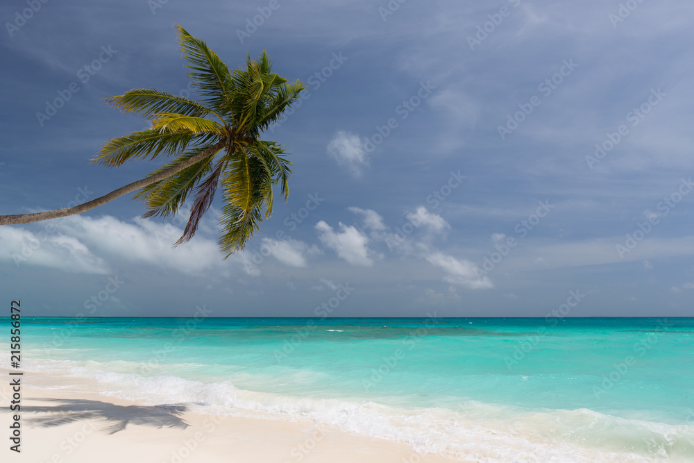 Lonely beach in the Caribbean on a sunny summer day with an almost cloudless sky
