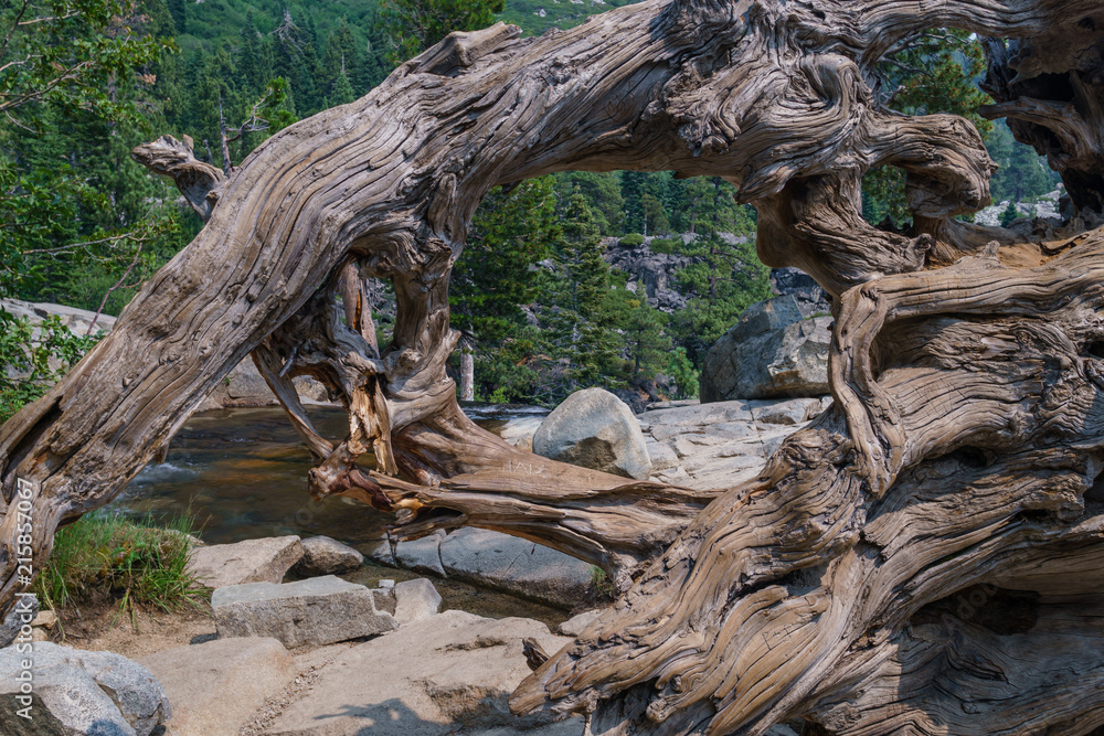 Lake Tahoe the Twinkle in Mother Nature’s Eye
Lake Tahoe the Twinkle in Mother Nature’s Eye