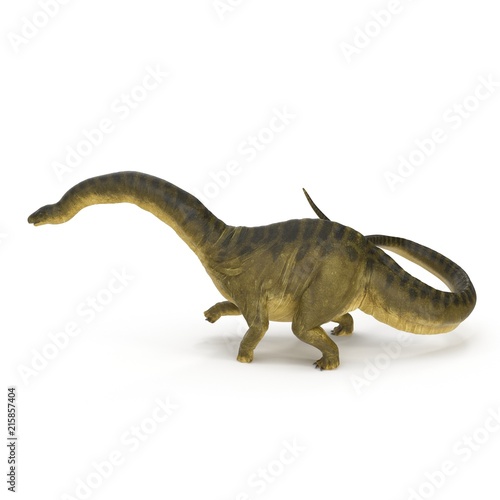 Apatosaurus Dinosaur on white. 3D illustration