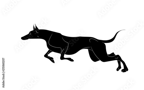 dog runs silhouette  vector