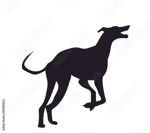 dog runs silhouette, vector