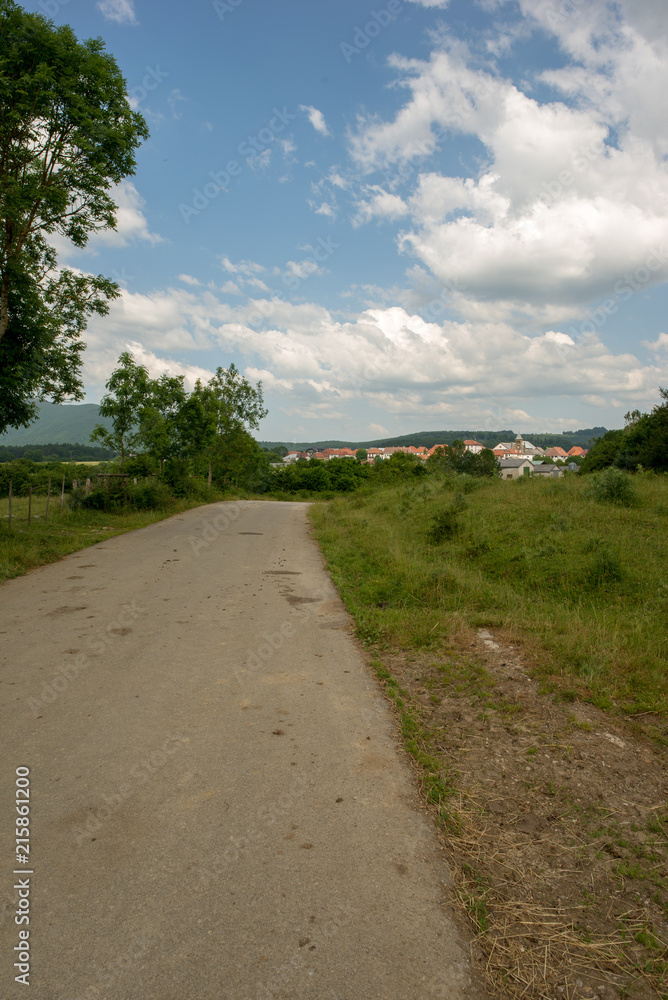 The road to Santiago as it passes through Burguete