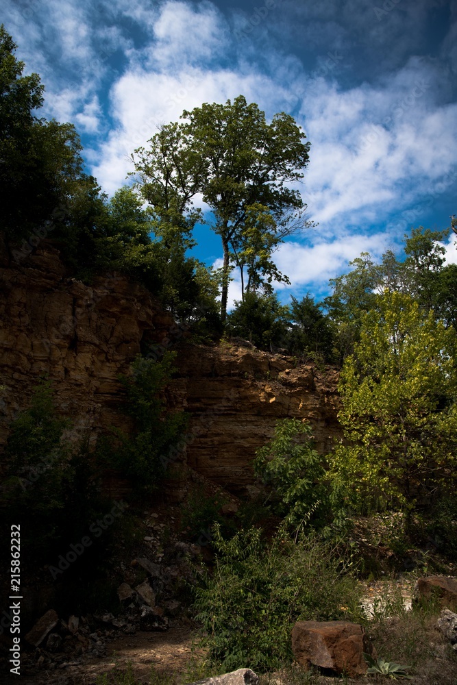 Obraz premium Lone Tree High Above