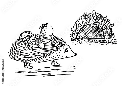 Hand drawn sketched hedgehog carrying food supplies (apple, mushroom and acorn) in ground hole. Doodle design element. Black and white vector illustration isolated on white background