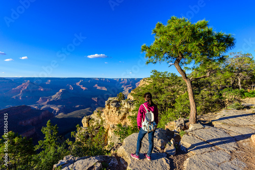 Hiker in amazing Landscape scenery of South Rim of Grand Canyon National Park, Arizona, United States