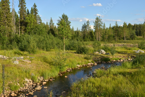 Summer landscape. Forest River in Finnish Lapland