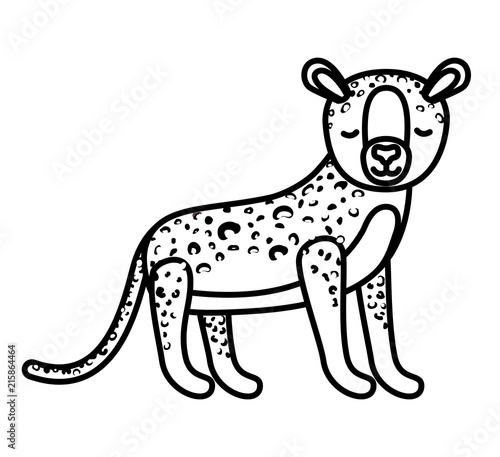 wild cheetah animal isolated vector illustration design