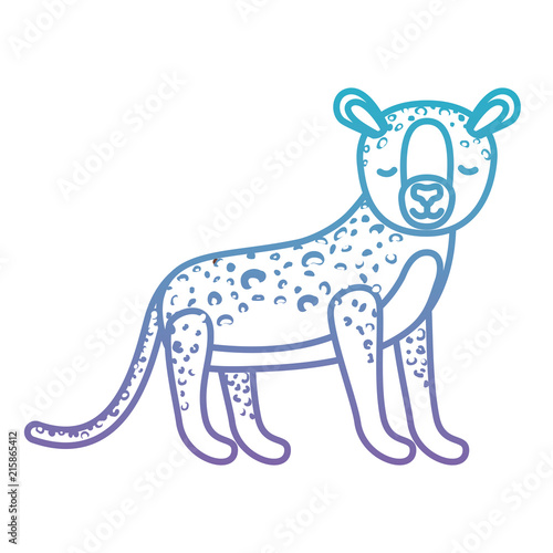 wild cheetah animal isolated vector illustration design