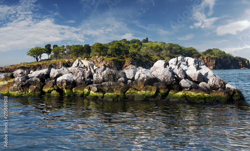 Fantastic Little İsland