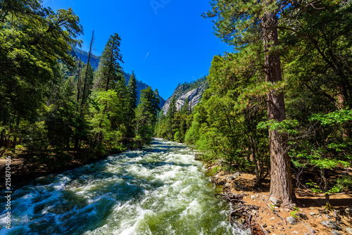 Fototapeta Naklejka Na Ścianę i Meble -  Merced River landscape in Yosemite National Park. Whitewater Rapids. California, USA.