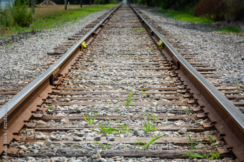 Railroad Track Perspective with Grey Gravel and Green Weeds