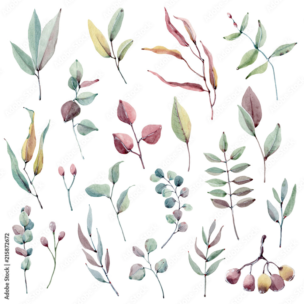 watercolor leaves collection. watercolor leaves collection.