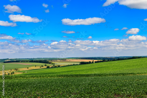 Summer landscape with green fields, hills and blue sky photo