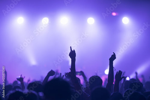 Sillhouettes of concert crowd in front of bright stage lights photo
