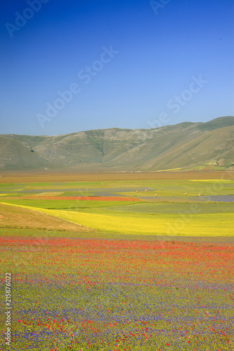 A magnificent sunrise in Castelluccio di Norcia. expecting more to the thousand colours of flowering 