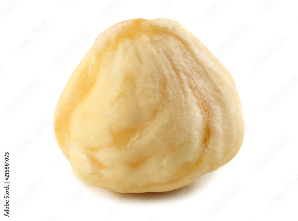 one hazelnut isolated on a white background. macro one hazelnut isolated on a white background. macro