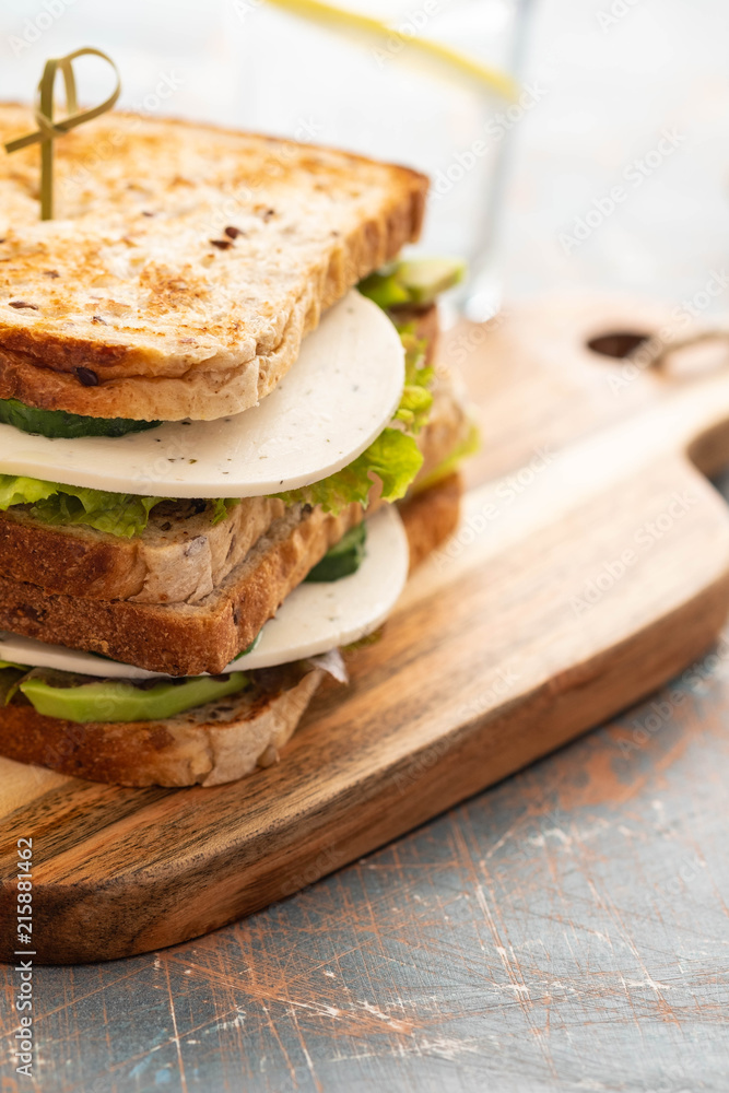 Healthy Homemade Vegetarian Veggie Sandwich with Lettuce. cucumber, avocado, Cheese. Copy space.