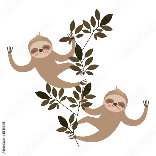 wild sloths couple in the jungle vector illustration design
