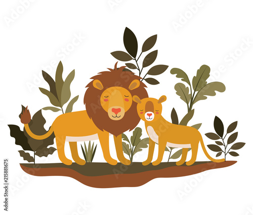 wild lions couple in the jungle vector illustration design