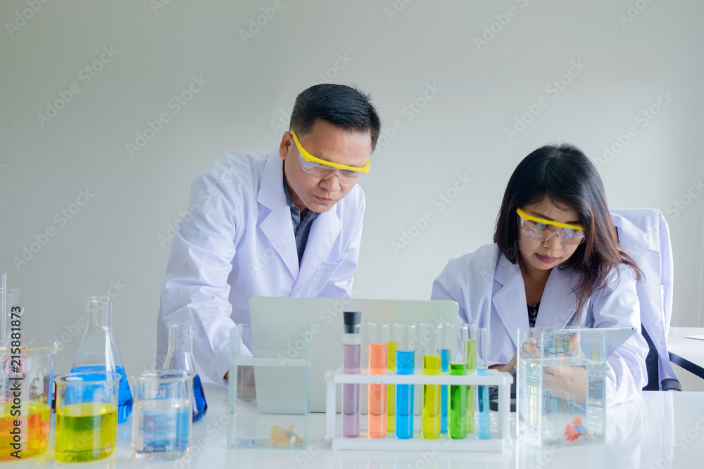 Young female and male scientist team working with laptop and tablet with Siamese fighting fish tank and color test tube in a laboratory.Concept Science and Medical image.. Young female and male scientist team working with laptop and tablet with Siamese fighting fish tank and color test tube in a laboratory.Concept Science and Medical image..