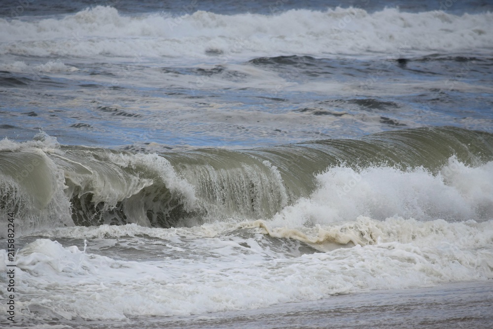 Fototapeta premium Rolling ocean wave