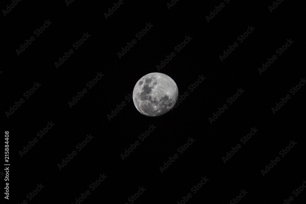 Naklejka premium Full Moon