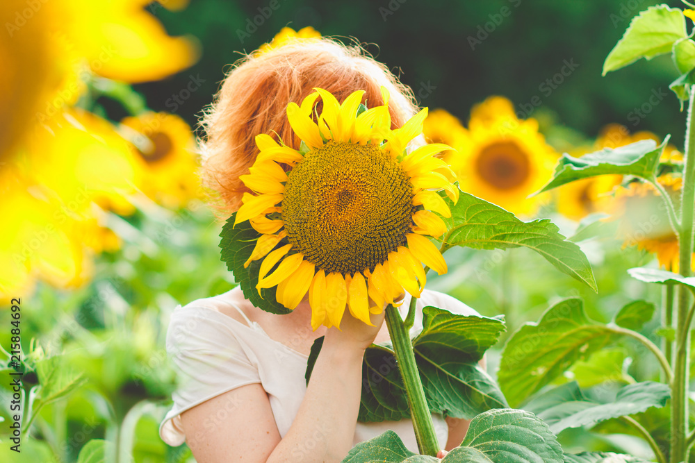Fototapeta premium red-haired girl covered her face with a sunflower, girl incognito enjoying nature on the field of sunflowers at sunset