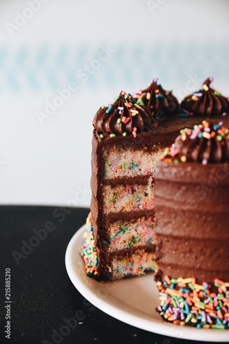 White cake with chocolate frosting and sprinkles