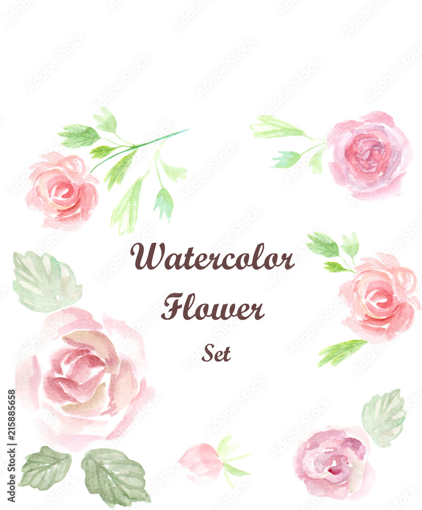 Watercolor flowers elements set. Vintage leaves, anemone flower, branches. Artistic hand drawn design illustrations