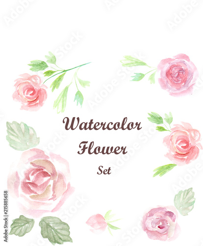 Watercolor flowers elements set. Vintage leaves, anemone flower, branches. Artistic hand drawn design illustrations © Irina Binary70