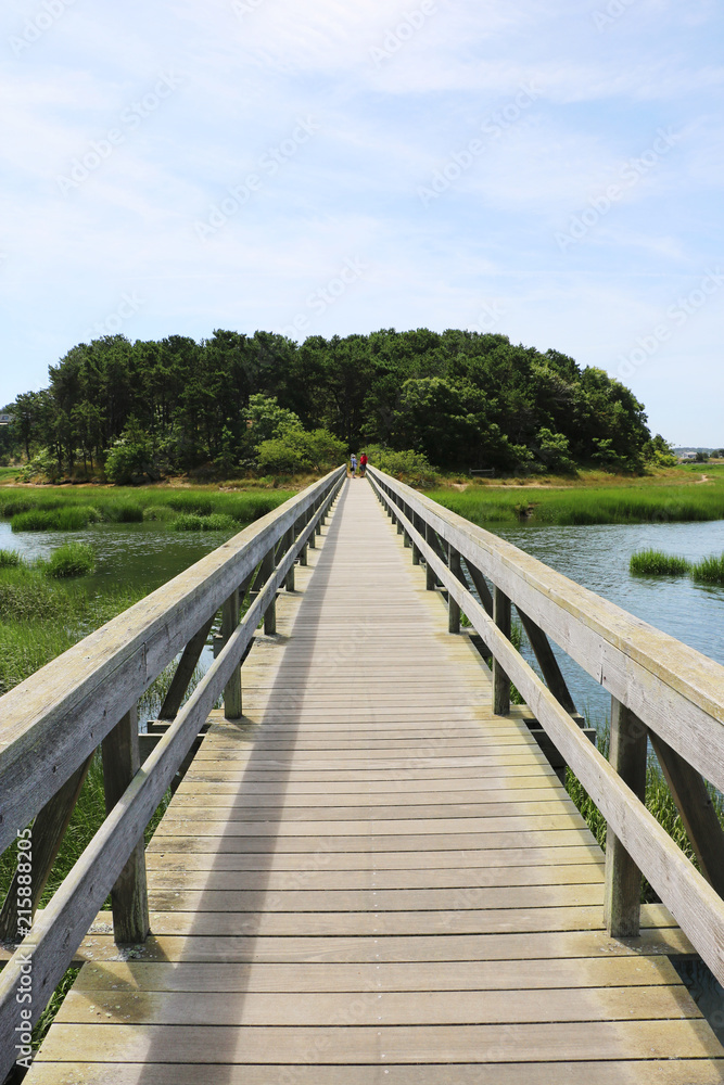 Long view of a wooden bridge over a lake surrounded by grass