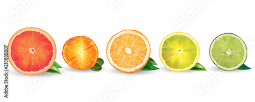 Orange, lemon, citrus, mandarin, grapefruit and lime