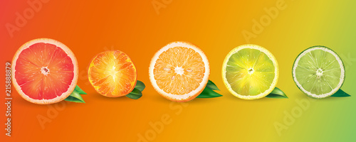 Orange, lemon, citrus, mandarin, grapefruit and lime