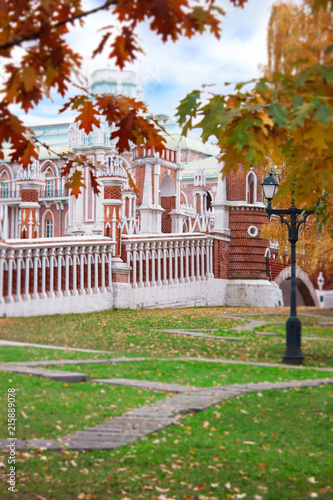 Golden autumn, Tsaritsyno. Moscow, Russia. View of the Palace through the oak leaves